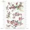 cis, owoce cisu, polna róża, róże, kwiat, łąka, ogród, lato, R964, yew, yew-tree fruit, field rose, roses, flower, meadow, garden, summer, Eibe, Eibenfrucht, Feldrose, Rosen, Blume, Wiese, Garten, Sommer, tejo, fruto del tejo, rosa de campo, rosas, flor, 